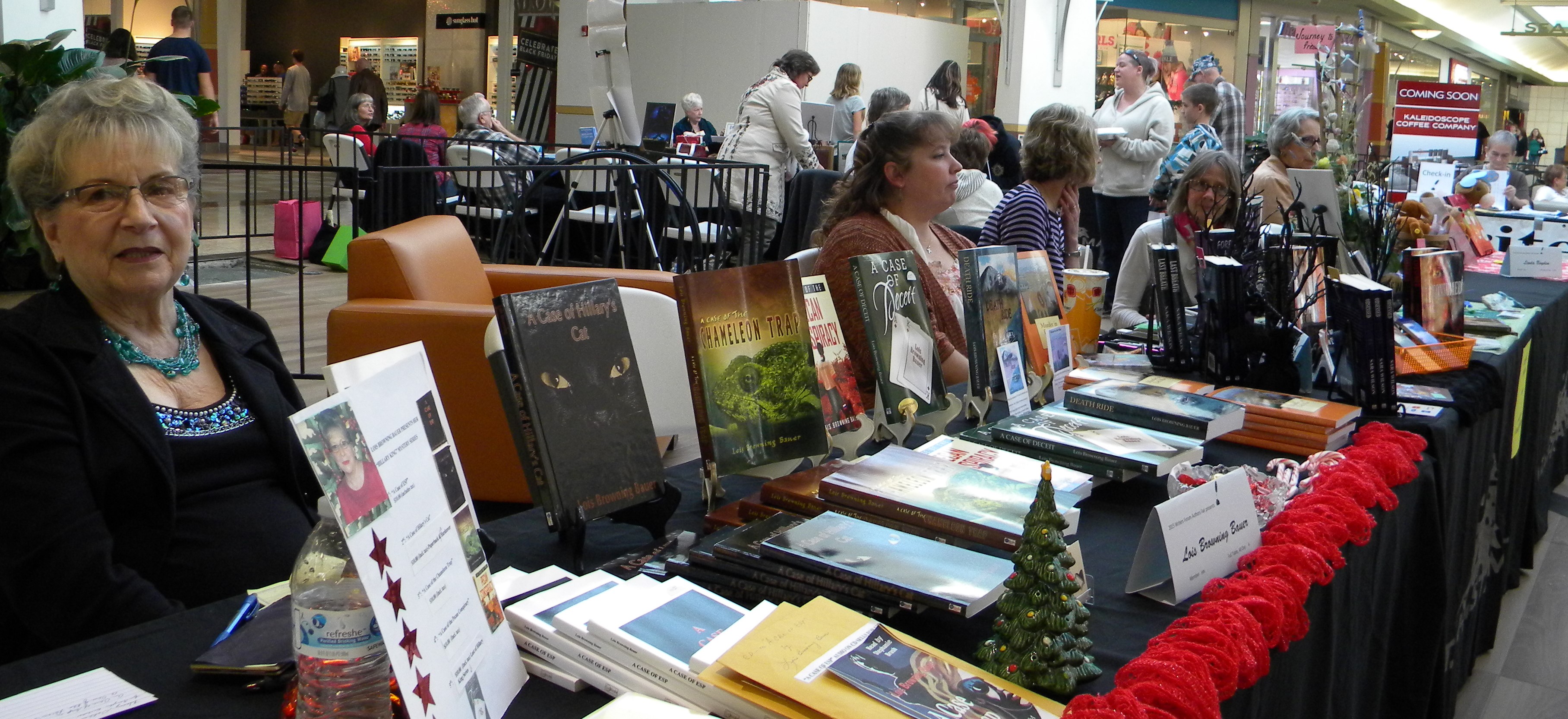 2015 Authors Fair